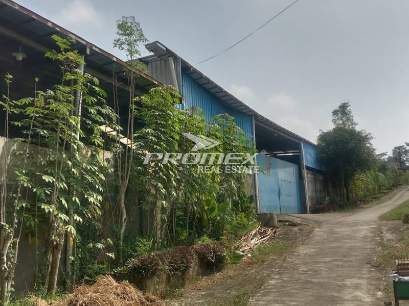 dijual-gudang-siap-pakai-di-jumantono-karanganyar
