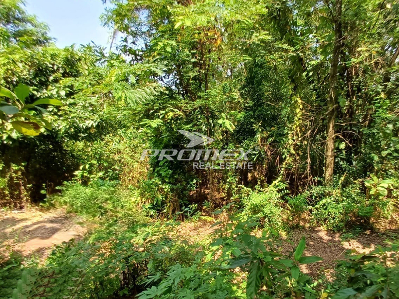 dijual-tanah-tegal-di-wonosari-karanganyar