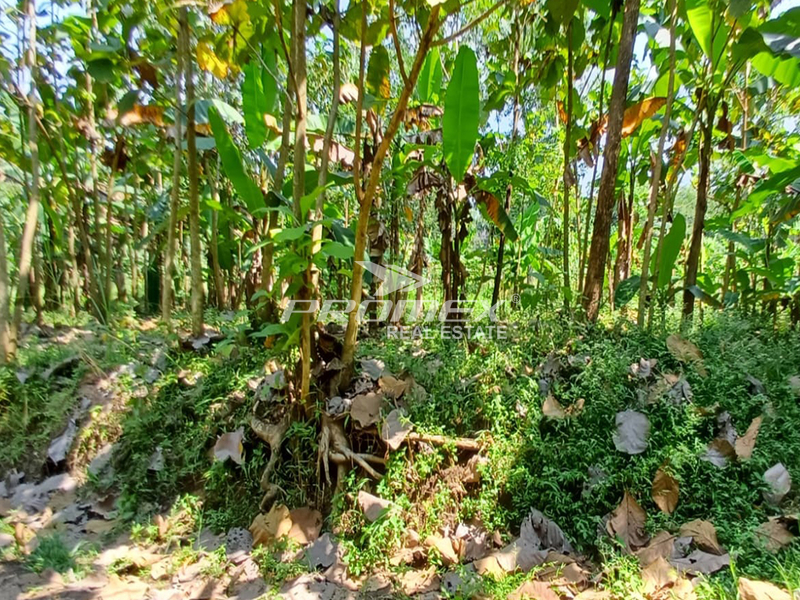 dijual-tanah-tegal-di-gondangrejo-karanganyar