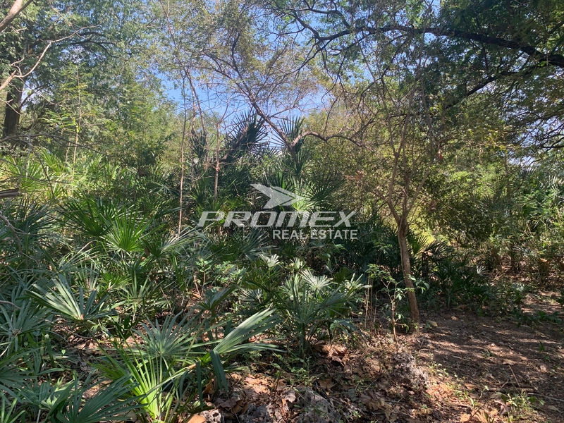 dijual-tanah-lokasi-kolhua-kupang