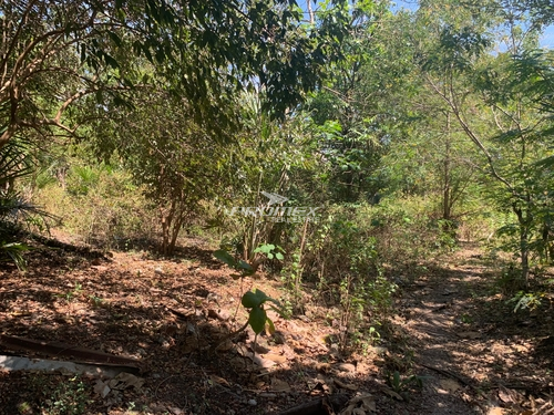 dijual-tanah-lokasi-kolhua-kupang