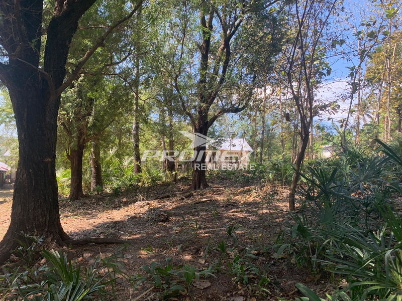 dijual-tanah-lokasi-kolhua-kupang