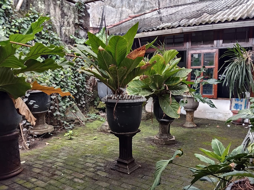 dijual-rumah-siap-huni-di-nusukan-solo