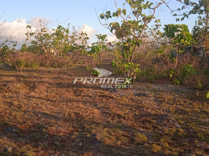 di-jual-tanah-lokasi-naioni-kupang