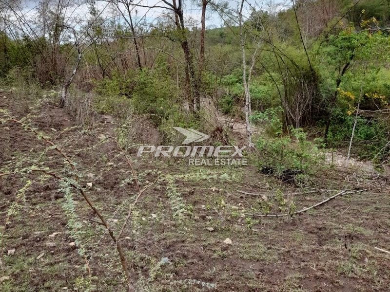 di-jual-tanah-lokasi-desa-naioni