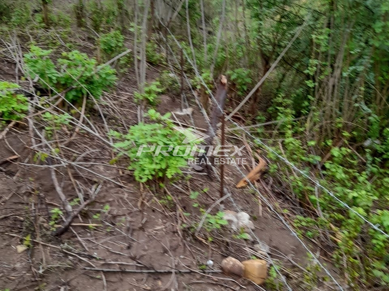 di-jual-tanah-lokasi-desa-naioni