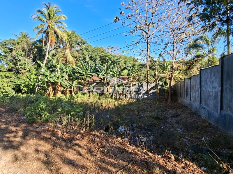 dijual-tanah-lokasi-fatukoa-kupang