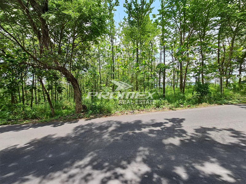 dijual-tanah-luas-di-kaliwuluh-sragen