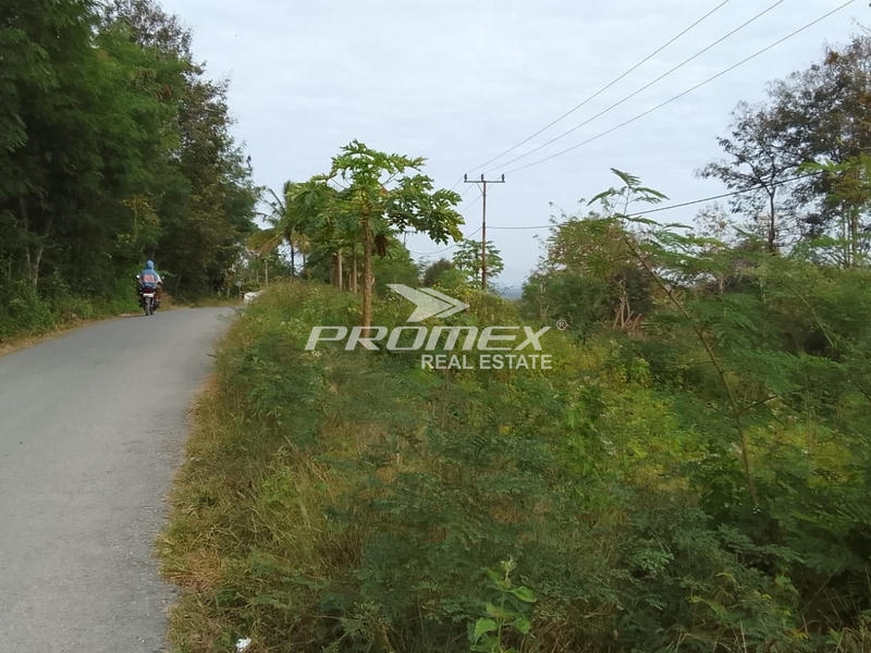 dijual-tanah-lokasi-oemofa-kabupaten-kupang