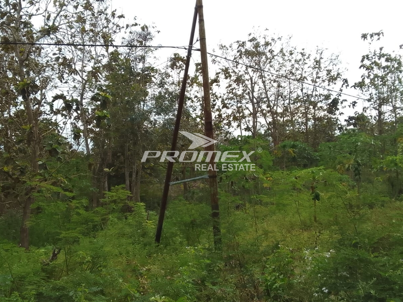 dijual-tanah-lokasi-oemofa