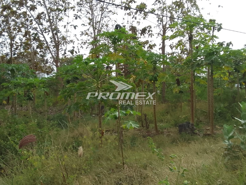 dijual-tanah-lokasi-amabi-oefeto-timur