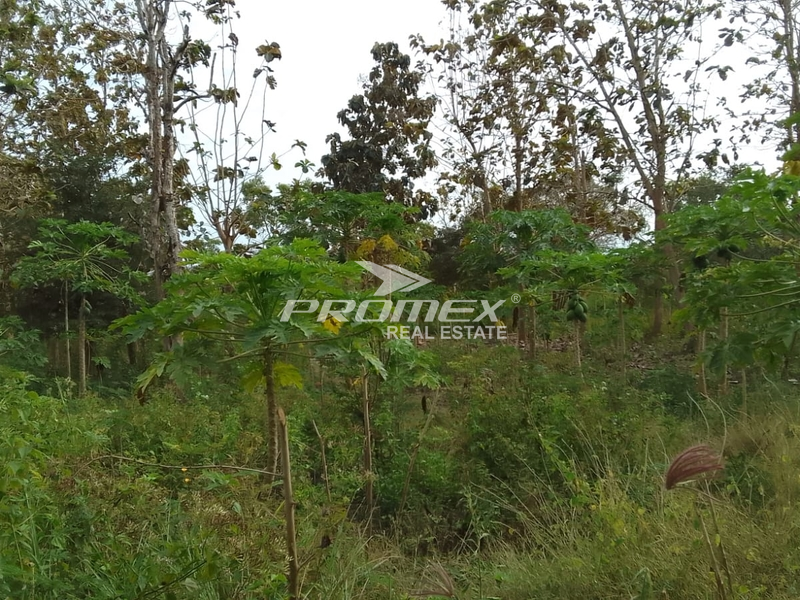 dijual-tanah-lokasi-nunmafo-kabupaten-kupang