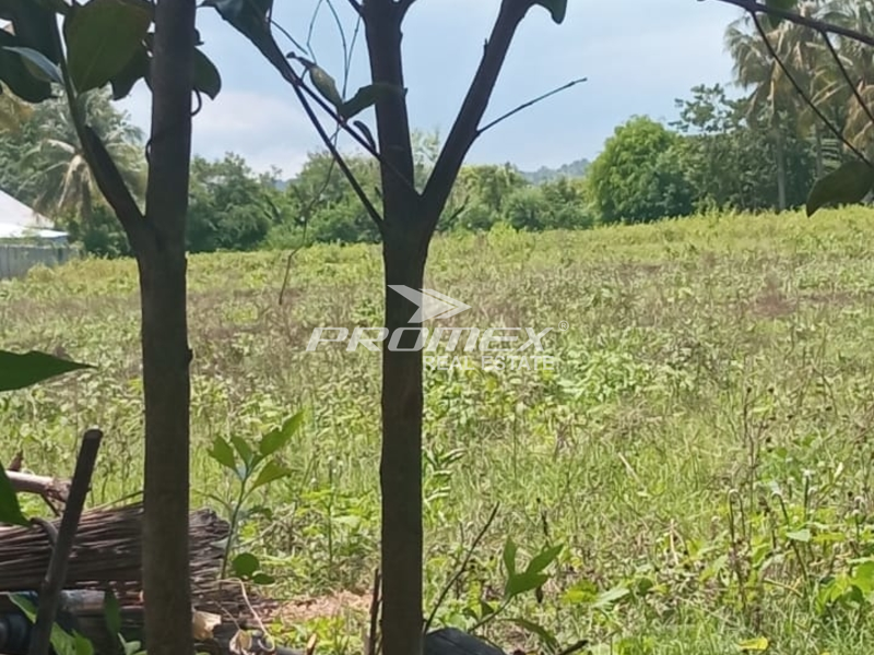 dijual-tanah-lokasi-oekabiti