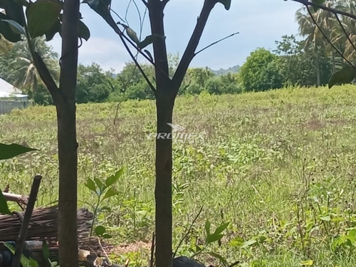 dijual-tanah-lokasi-oekabiti