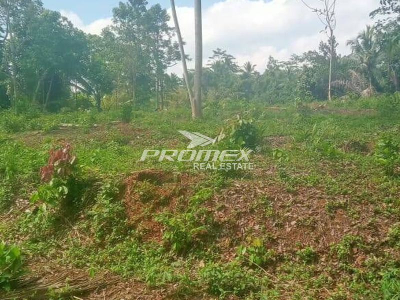 dijual-tanah-lokasi-alak