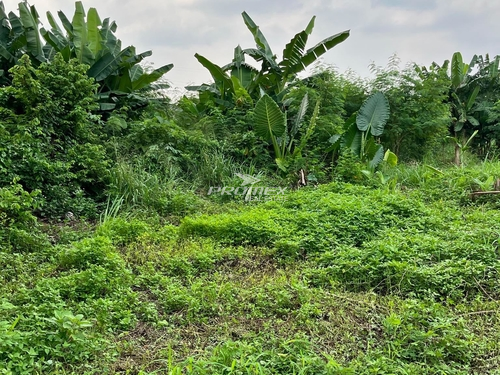 jual-rugi-tanah-ciputat-tangsel