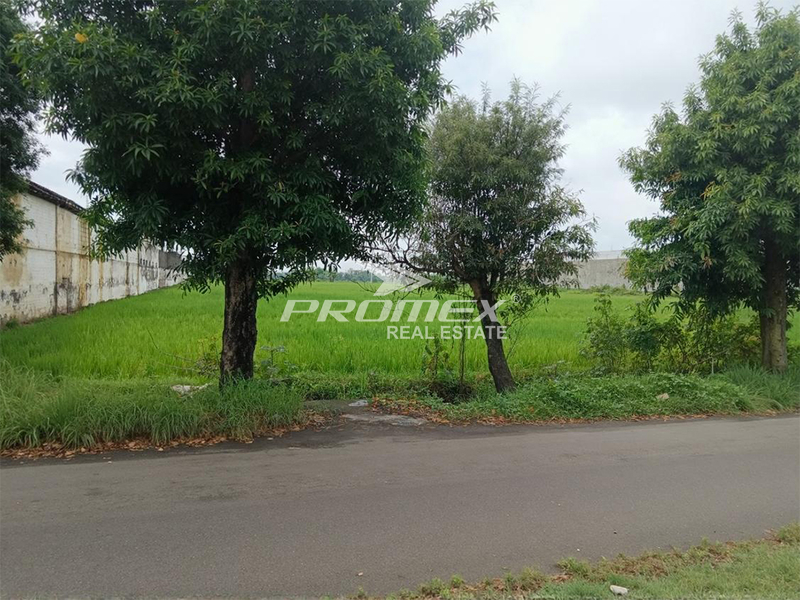 dijual-tanah-di-desa-jetis-karanganyar