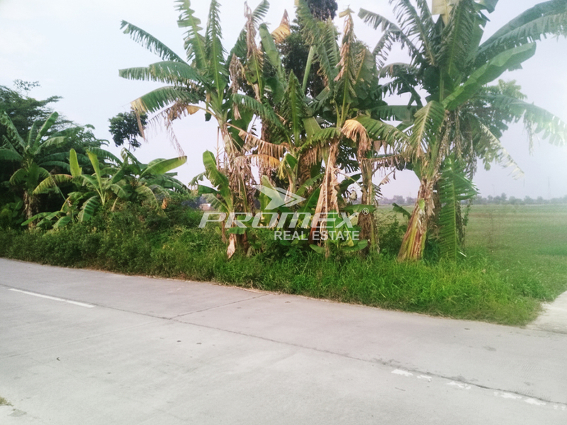 dijual-tanah-zona-merah-di-ds-gunting-klaten