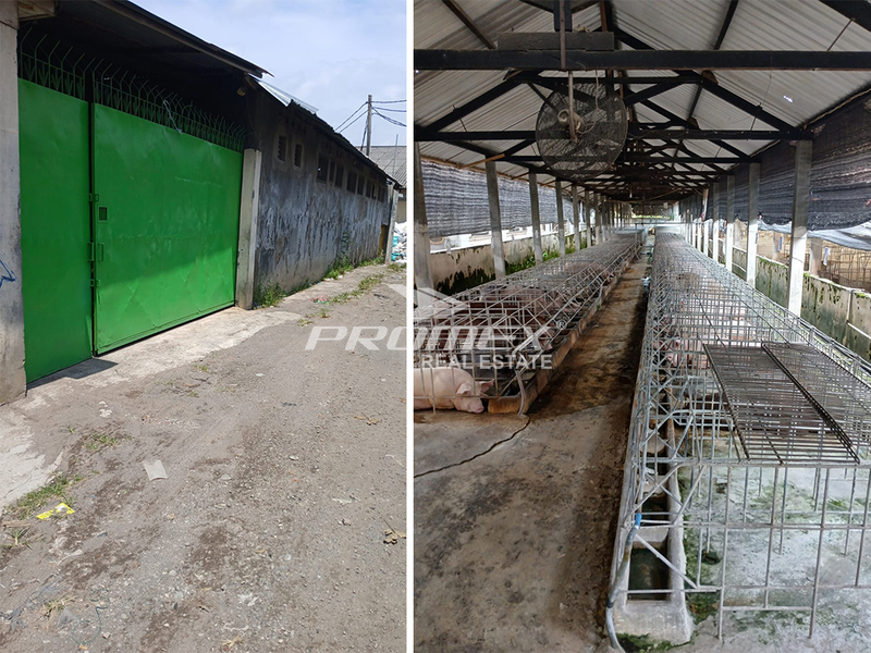 dijual-kandang-babi-di-sroyo-karanganyar