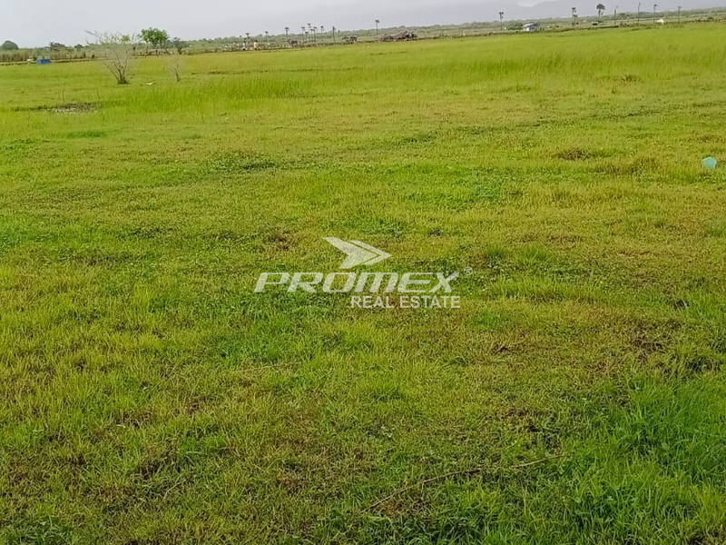 dijual-tanah-lokasi-oebelo-kupang