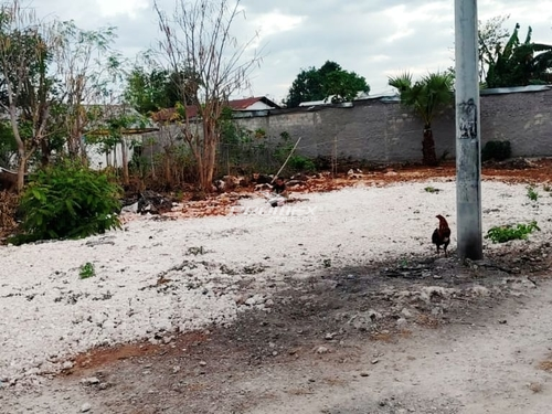 dijual-anah-lokasi-oelnasi-kupang