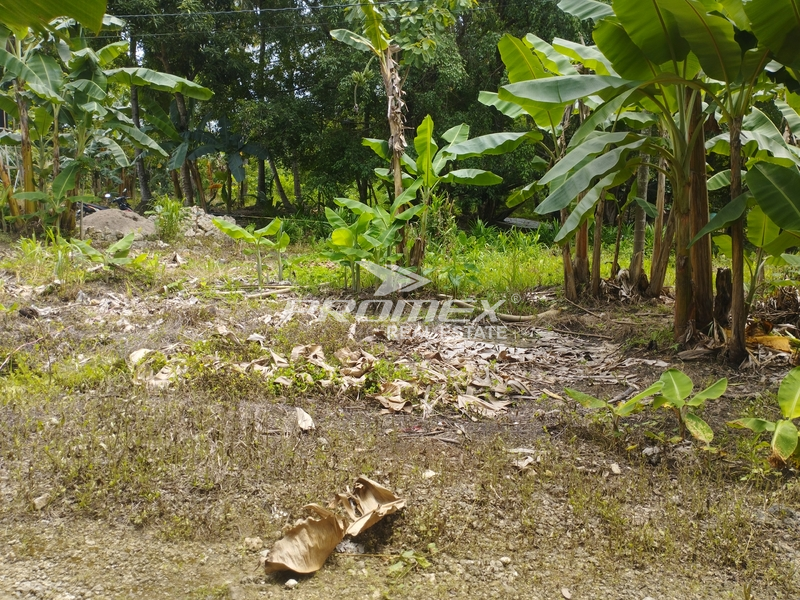 tanah-murah-dalam-kota-area-naikoten-1