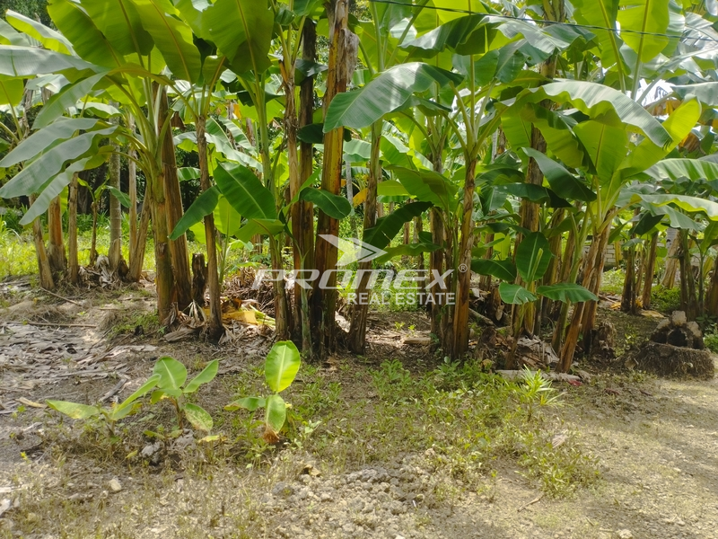 dijual-tanah-kavling-2-unit-daerah-oetona