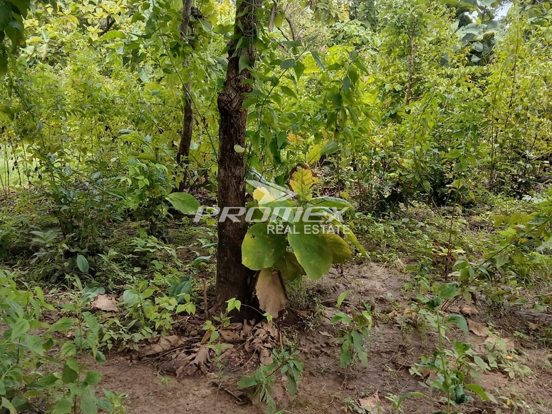 dijual-tanah-lokasi-maulafa-kupang