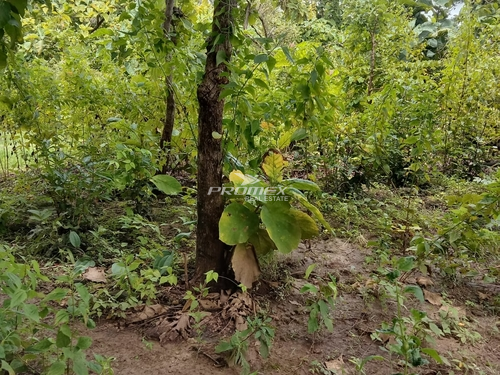 dijual-tanah-lokasi-maulafa-kupang