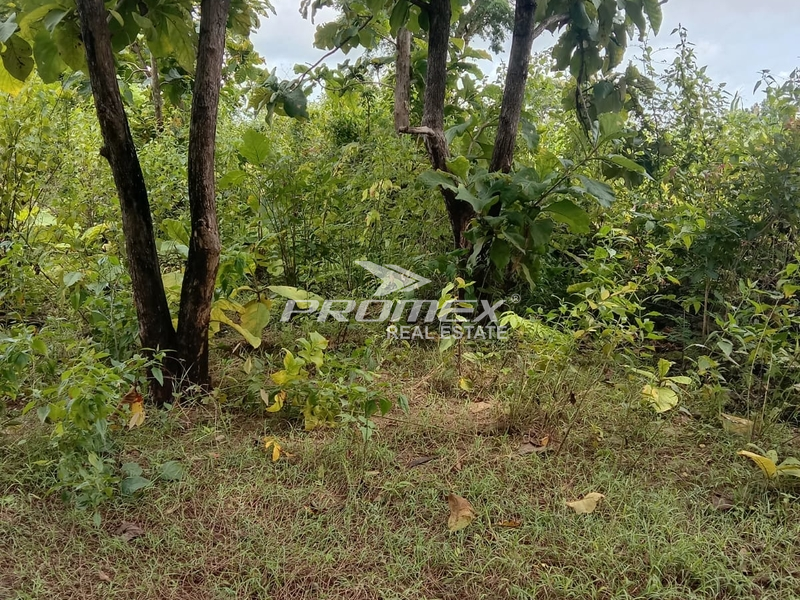 dijual-tanah-lokasi-maulafa-kupang