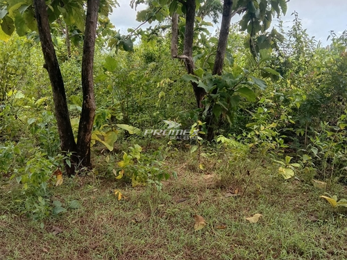 dijual-tanah-lokasi-maulafa-kupang