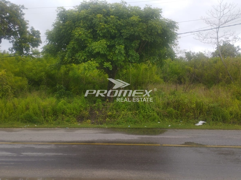 dijual-tanah-view-depan-pantai-bolok