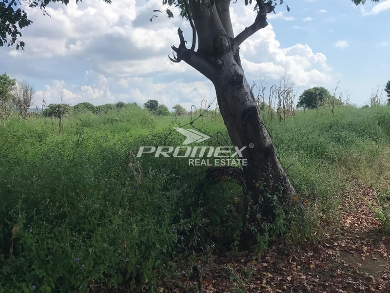 dijual-tanah-lokasi-ntb