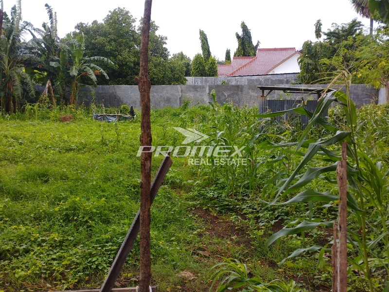 dijual-tanah-lokasi-jalan-bumi-liliba