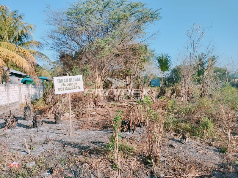 dijual-tanah-strategis-kabupaten-kupang