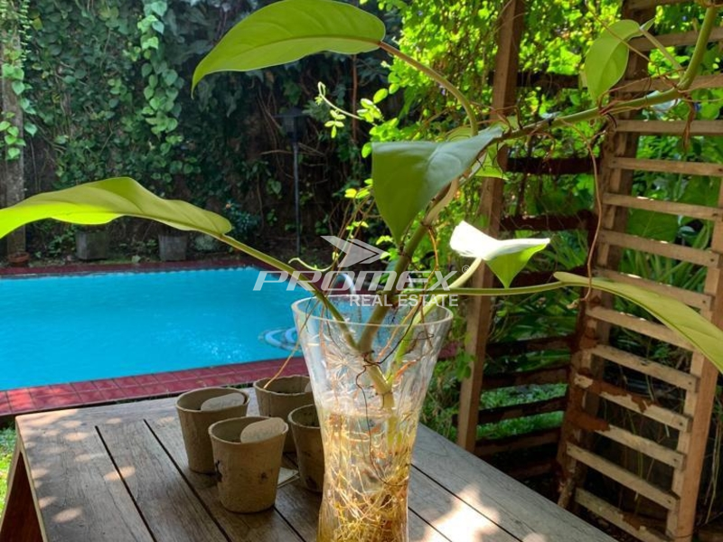 rumah-ada-privat-pool-dan-taman-di-pondok-labu