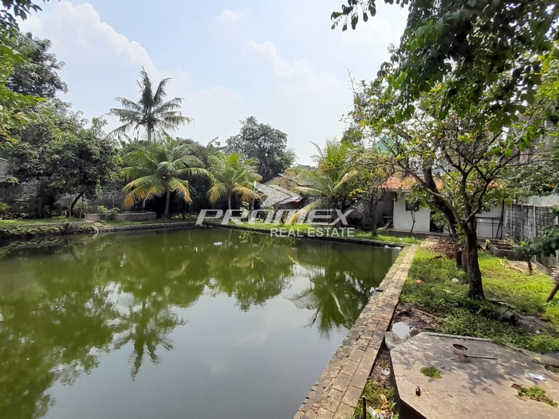 tanah-luas-bonus-kontrakan-di-pejaten-jatipadang-jak-sel-cocok-dibangun-cluster