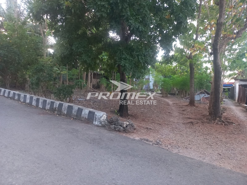 dijual-tanah-lokasi-manutapen-kupang