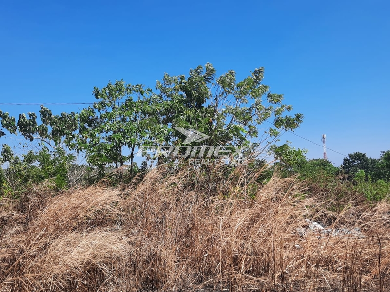 dijual-tanah-lokasi-jalur-40-kupang