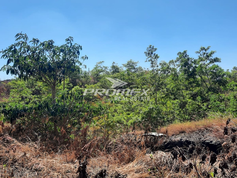 dijual-tanah-lokasi-jalur-40-kupang
