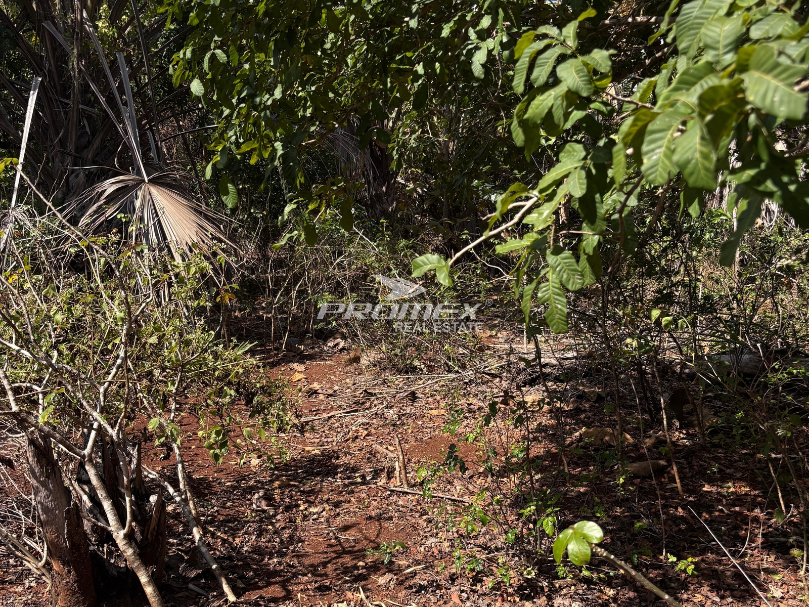 dijual-tanah-lokasi-rote-barat