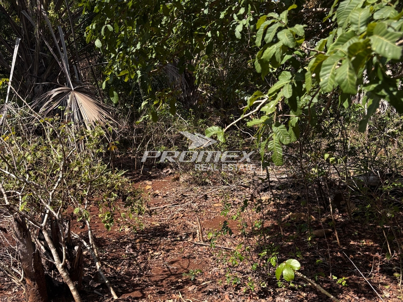 DIJUAL TANAH LOKASI ROTE BARAT