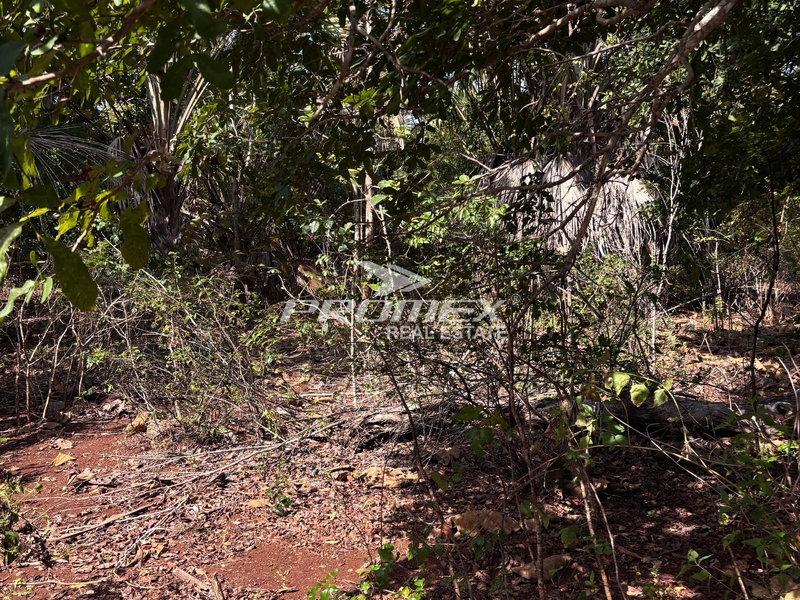 dijual-tanah-lokasi-rote-barat