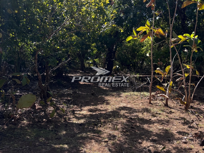 dijual-tanah-lokasi-rote-barat