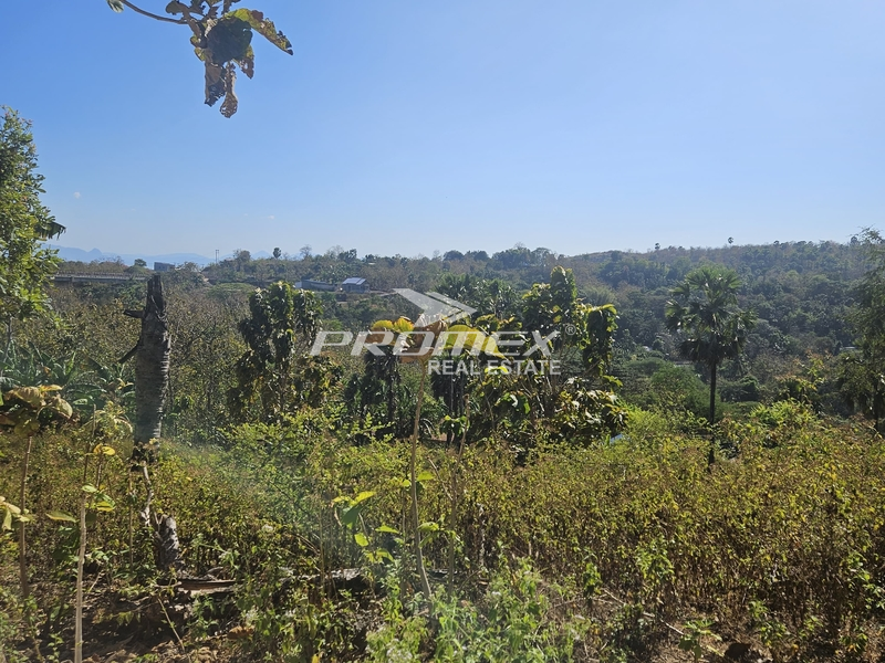 TANAH DIJUAL LOKASI KOLHUA/BELAKANG POLSEK MAULAFA