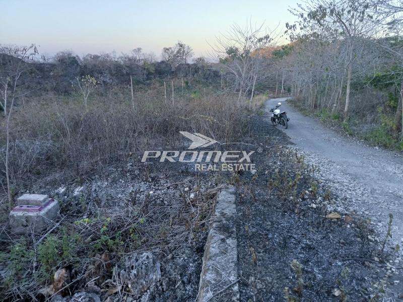 TANAH MURAH DI OELETSALA-KAB. KUPANG