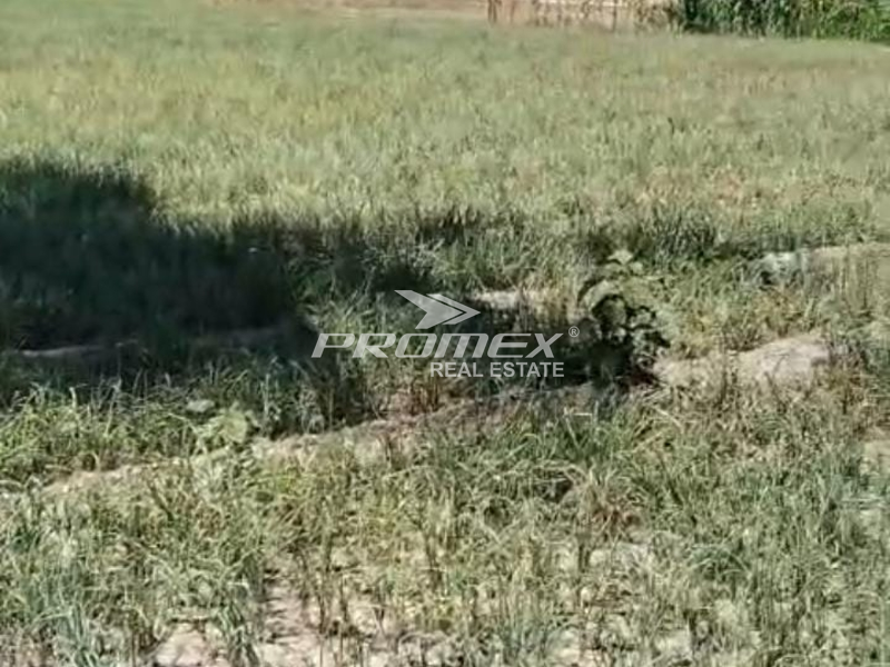 DIJUAL TANAH LOKASI OESAO 
