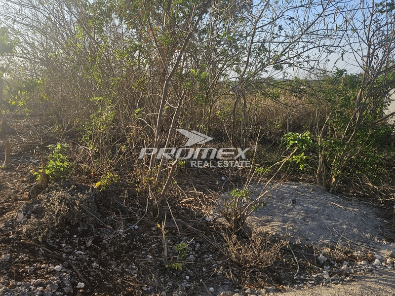 DIJUAL TANAH LOKASI FATUKOA
