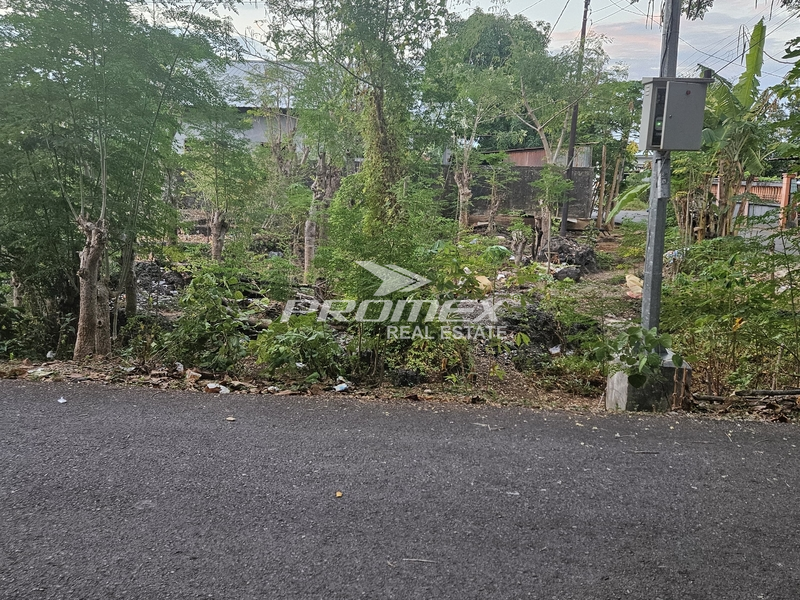 tanah-tengah-kota-di-walikota-kelapa-lima