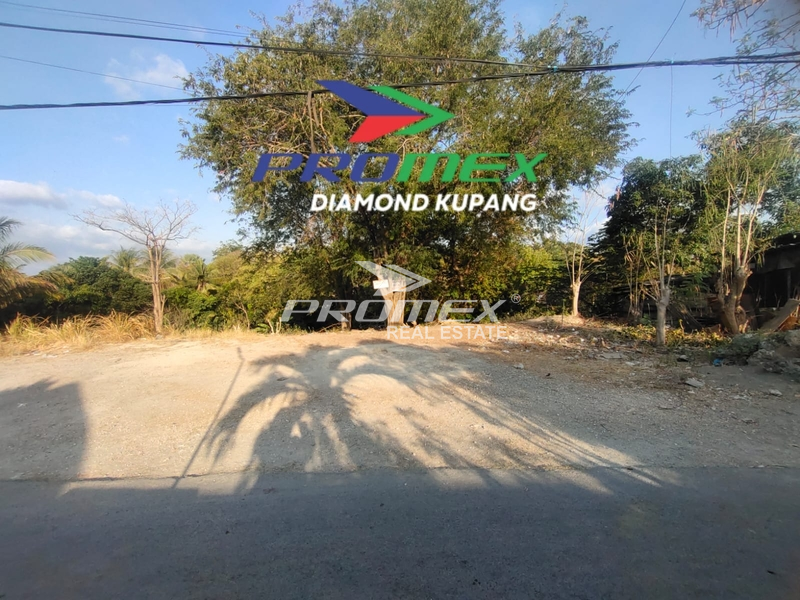 DIJUAL TANAH LOKASI OEPURA